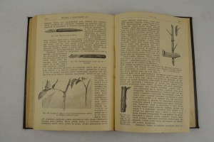 Садоводство для начинающих и любителей. 1907 г.