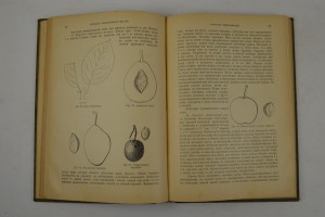 Н. Гоше. Руководство к плодоводству.  Две части.1899 г