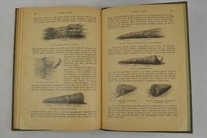 Н. Гоше. Руководство к плодоводству.  Две части.1899 г