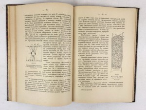 В. И. Палладина. Анатомия растений.Варшава - 1898.