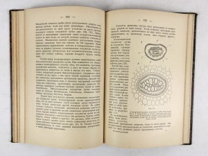 В. И. Палладина. Анатомия растений.Варшава - 1898.