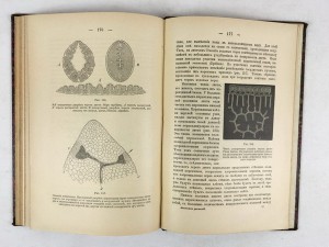В. И. Палладина. Анатомия растений.Варшава - 1898.