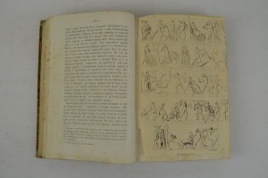 Мифы классической древности. В двух томах.1877