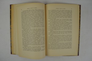 Известие касающееся подробностей бунта, недавно поднятого...