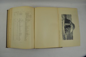 В области полупустыни.Почвенная лаборатория. Саратов 1907.