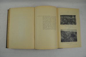 В области полупустыни.Почвенная лаборатория. Саратов 1907.