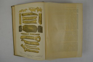 К. Вёрман. История искусства всех времен и народов. В 3-х т.