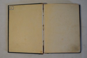 К. Фофанов. Стихотворения. Изд. Г. Гоппе. СПб. - 1887.