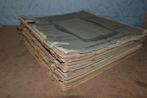 Великая война в образах и картинах. Выпуски  1-14.