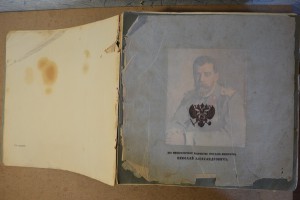 Великая война в образах и картинах. Выпуски  1-14.
