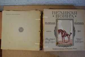 Великая война в образах и картинах. Выпуски  1-14.