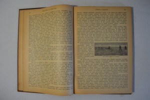 Среди льдов и во мраке ночи. Том 1 и 2. 1903г.