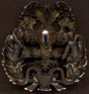 Знак Лекаря в серебре.