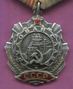 Тр.Слава 3  степени № 8790