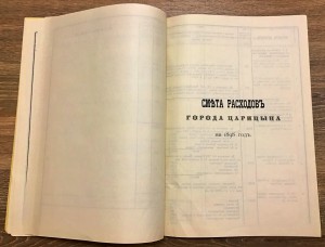 Книга города Царицына. Ну очень редкая. 1898 год.