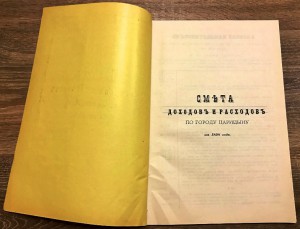 Книга города Царицына. Ну очень редкая. 1898 год.