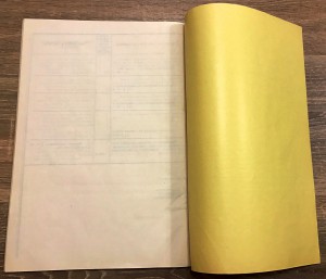 Книга города Царицына. Ну очень редкая. 1898 год.