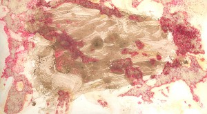 Летчик, ГСС С.А.Данилин в группе офицеров