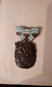 Комплект орденов и медалей материнства на одного человека.