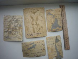 РККА Кубанские казаки.