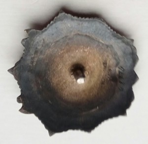 Орден Ал.Невского за Венгрию 1956г.