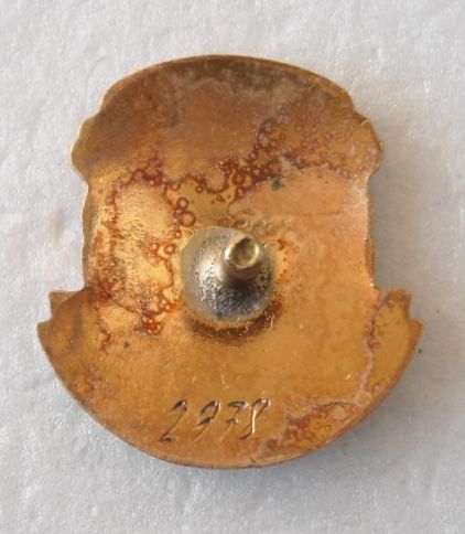 Отличник  медицинской  промышленности