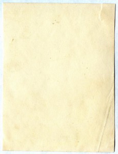 Летчик, кавалер ордена БКЗ (винт).