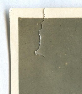 Летчик, кавалер ордена БКЗ (винт).