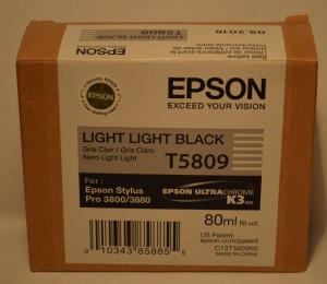 Картридж оригинальный  EPSON T5809