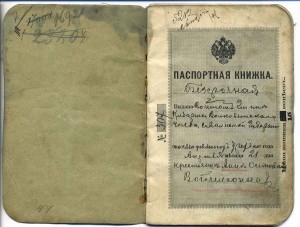 Два паспорта