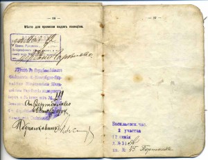 Два паспорта