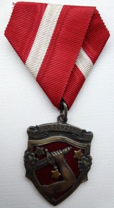 Знак освободительной войны Латвии 1918-1920 с документом.