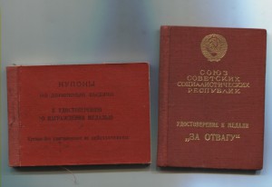 Группа на Чеха Сапера Отвага 2075861 Чехи и Румыны.