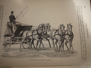 Князь С.П. Урусов Книга о лошади. 1911г. 2 тома