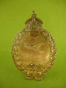 Знак морского пилота за полеты над сушей + фото.