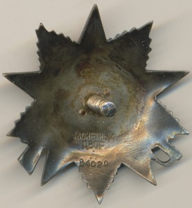 ОВ 2 ст рыбий глаз, 84т дубликат