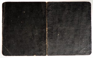 Удостоверение моряка, Кронштадт, 1919 г. (до мятежа!)