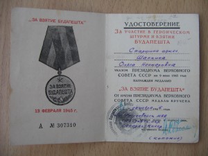 Дунайский бант на пограничницу.