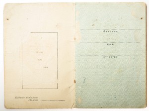 7 "мытых" доков, есть Невский, Слава 2 и 3, ГСТ