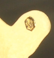 RRR ЮГОСЛАВИЯ Орден Героя социалистического труда СУПЕР