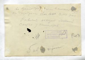 Начальник ВВС ВМО К. Д. Павлов у самолетов