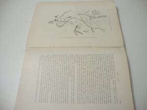 1880г. Вода  в городе, в сельской местности и в доме.