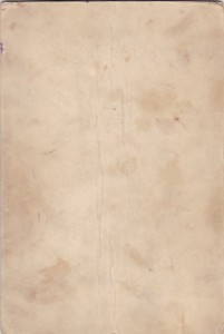 Флотский. Нарукавные нашивки. 20-е годы.