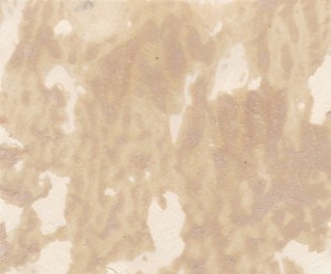 Маршал С.М.Будённый в городе Нальчик. 1936 год. 3 фото.