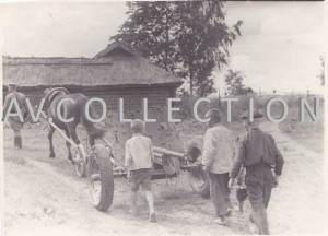 7 редких фото из боевой жизни партизанского артрасчёта.