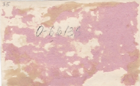 Ком.255 Красноз.бригады морской пехоты с НШ бригады.