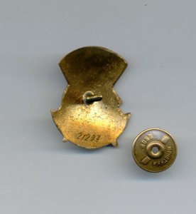 Отличнику здравоохранения (большой)