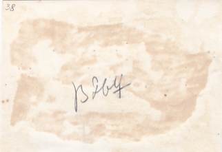 Выступление И.В.Сталина в день похорон М.В.Фрунзе. 1925 год.