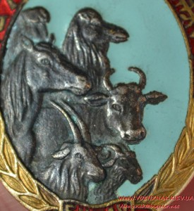 Знак "Отличный пастух" № 2544.Бронза, эмаль, винт 1930е гг.