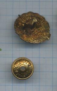 Отличник минтрансмаша (маленький)